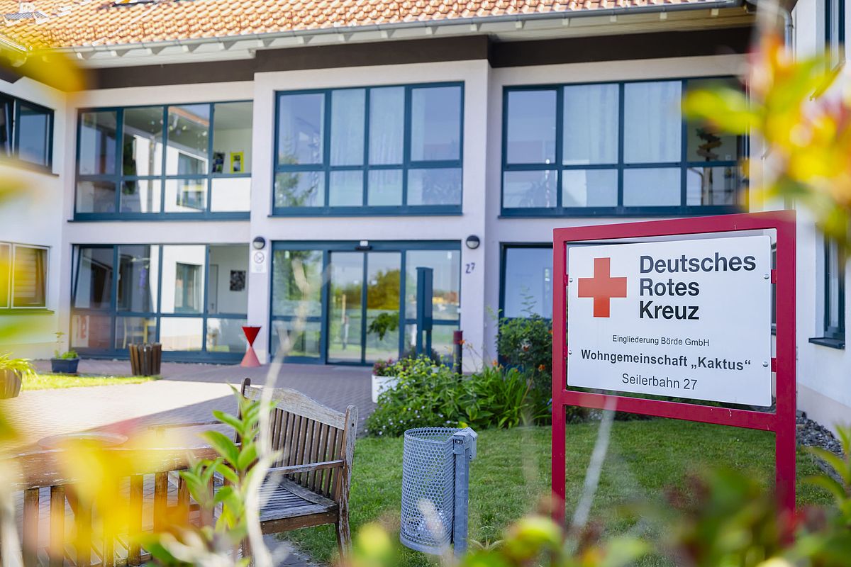 kentia palme vertrocknet Kentia Palme online Kaufen – MyZimmerpflanze.de
